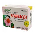 Echinacea extract concentrat 40 cps,  Hofigal