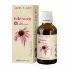 Echinacea tinctura 50ml, Dacia Plant