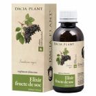 Elixir din Fructe de Soc tinctura 200ml, Dacia Plant