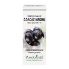 Extract din muguri de Coacaz Negru 50ml, PlantExtrakt