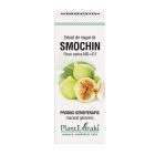 Extract din muguri de Smochin 50ml, PlantExtrakt