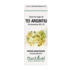 Extract din muguri de Tei Argintiu 50ml, PlantExtrakt