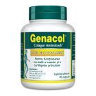 Genacol Plus Glucozamina 90cps, Darmaplant