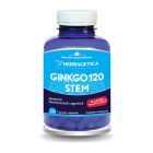 Ginkgo 120 STEM 120 cps, Herbagetica