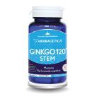 Ginkgo 120 STEM 30 cps, Herbagetica 