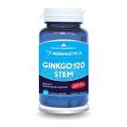 Ginkgo 120 STEM 60 cps, Herbagetica