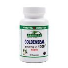 Goldenseal Coptis C. Forte 1000mg 90 cps, Provita Nutrition