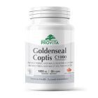 Goldenseal Coptis C. Forte 1000mg 90 cps, Provita Nutrition