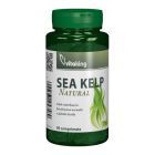 Alga marina (Sea Kelp) 30mg 90 cpr, Vitaking