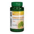 Ginkgo Biloba Forte 120mg cu absorbtie indelungata 60 cps, Vitaking
