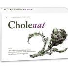 Cholenat anticolesterol complex forte 60 cpr, Vitaking