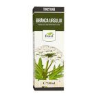 Tinctura de Branca ursului 200ml, Dorel Plant