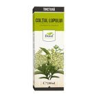 Tinctura de Coltul lupului 200ml, Dorel Plant