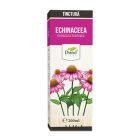 Tinctura de Echinaceea 200ml, Dorel Plant
