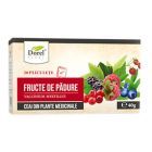 Ceai de Fructe de padure 40g, Dorel Plant