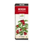 Tinctura de Merisor 200ml, Dorel Plant