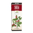 Tinctura de Mladite de zmeur 200ml, Dorel Plant