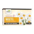 Ceai de Musetel 30g, Dorel Plant