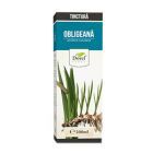 Tinctura de Obligeana 200ml, Dorel Plant