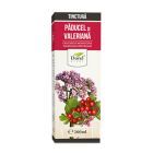 Tinctura de Paducel si valeriana 200ml, Dorel Plant