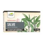 Ceai de Salvie 30g, Dorel Plant