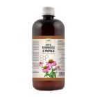 Sirop de Echinaceea si propolis 500ml, Dorel Plant