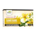 Ceai de Sunatoare 30g, Dorel Plant