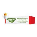 Balsam de buze cu extract de propolis, ulei de morcov si ulei de catina 4,8g, Manicos