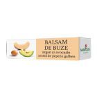 Balsam de buze cu ulei de argan, ulei de avocado si aroma de pepene galben 4,8g, Manicos