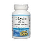L-Lizina (L-Lysine) 500mg 90 cps, Natural Factors