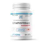 Lymphstream Maximizer 60 cps, Konig Laboratorium