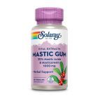 Mastic Gum 500mg 45 cps, Solaray