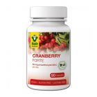 Merisor Forte bio, 440mg 90 tbl, Raab Vitalfood