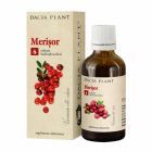 Merisor tinctura 50ml, Dacia Plant