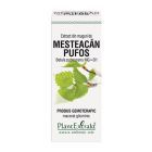 Extract din muguri de Mesteacan Pufos 50ml, PlantExtrakt