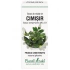 Extract din mladite de Cimisir 50ml, PlantExtrakt