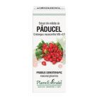 Extract din mladite de Paducel 50ml, PlantExtrakt