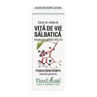 Extract din mladite de Vita de Vie Salbatica 50ml, PlantExtrakt