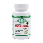 Moringa forte 3000mg 60 cps, Provita Nutrition