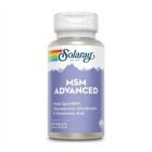 MSM Advanced Tablets 60 tbl, Solaray