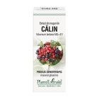 Extract din muguri de Calin 50ml, PlantExtrakt