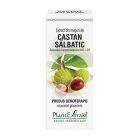 Extract din muguri de Castan Salbatic 50ml, PlantExtrakt
