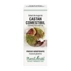 Extract din muguri de Castan Comestibil 50ml, PlantExtrakt