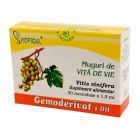 Muguri de vita de vie - Gemoderivat 30 monodoze, Hofigal