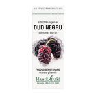 Extract din muguri de Dud Negru 50ml, PlantExtrakt