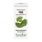 Extract din muguri de Fag 50ml, PlantExtrakt