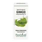 Extract din muguri de Ginkgo 50ml, PlantExtrakt