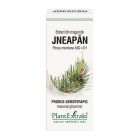 Extract din muguri de Jneapan 50ml, PlantExtrakt