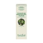 Extract concentrat din muguri de Mesteacan Pufos 15ml, PlantExtrakt