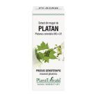 Extract din muguri de Platan 50ml, PlantExtrakt